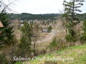 Salmon Creek Estates Subdivision