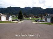 Twin Peaks Subdivision
