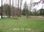 Middle Fork Village