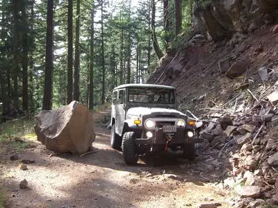 Vehicle in the woods