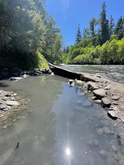 McCredie Hot Springs