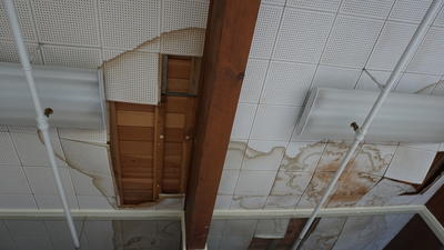 WAC ceiling