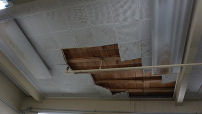 WAC ceiling