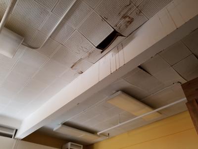 WAC ceiling
